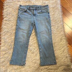 American Eagle Outfitters Artist Crop Blue Ankle Cropped Jeans